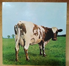 Pink floyd atom usato  Venezia