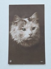 Vintage sepia cat for sale  RUNCORN