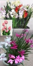 Blumenstrauß set günstige gebraucht kaufen  Kaiserslautern