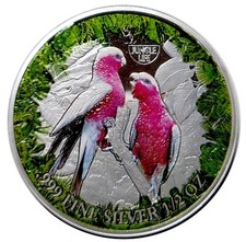 2021 cameroon rose for sale  USA