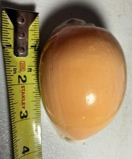 Cypraea aurantium bright for sale  Lehigh Acres