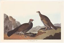 Audubon abbeville double for sale  Chicago
