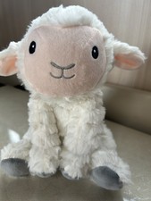 Morrisons lamb sheep for sale  DERBY