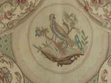 New birds french for sale  USA