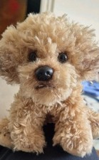 Suki labradoodle small for sale  HASTINGS