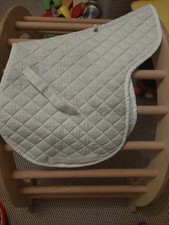 Roma white pony for sale  BRISTOL