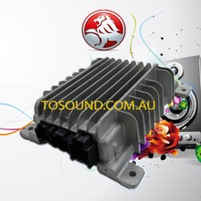 Amplificador Holden WM Caprice Bose 92180501 2004-2009 original original fabricante de equipamento original comprar usado  Enviando para Brazil