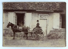 Femme cheval calèche d'occasion  Rouen-
