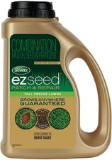 Seed tall fescue for sale  Denver