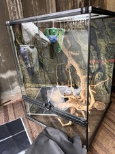 Vivarium setup 45cm for sale  ST. HELENS