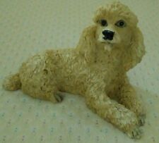 mixed poodles for sale mixed poodles for sale Clinton