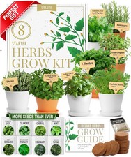 Home grown 𝗗𝗘𝗟𝗨� for sale  Brooklyn