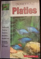 Platies mix donald for sale  UK