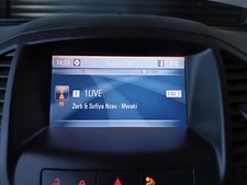 Pel insignia bordcomputer gebraucht kaufen  Windeck