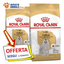 Royal canin dog usato  Serra de Conti