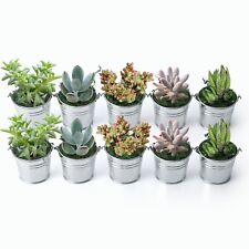 Mini iron buckets for sale  Fallbrook
