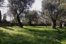 pianale rimorchio agricolo usato pianale rimorchio agricolo usato Oppido Mamertina