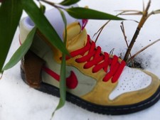 Nike dunk high gebraucht kaufen  Merching