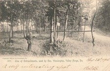 Cartão postal Valley Forge, PA: linha de entrincheiramentos usada pela geração Washington 1905 comprar usado  Enviando para Brazil