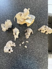 Elefanten herde deko gebraucht kaufen  Niddatal
