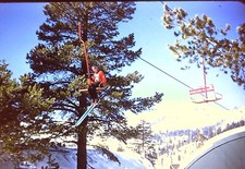 Photograph february 1960 for sale  Fort Collins