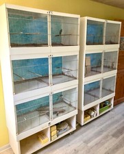 zuchtboxen gebraucht kaufen zuchtboxen gebraucht kaufen Soest