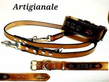 Abbinamento collare guinzaglio usato  Alcamo