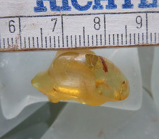 Kopal copal junger gebraucht kaufen  Eschwege