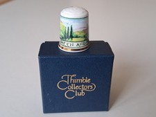 Rare tcc thimble for sale  COWES