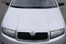 Skoda fabia motorhaube gebraucht kaufen  Borgentreich