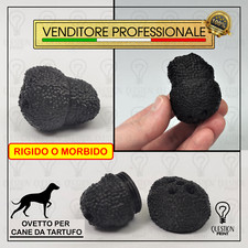 Ovetto per addestramento usato  Barletta