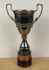 Coppa vintage centro usato  Cornate d'Adda