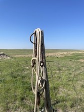 Bosal one ear for sale  Manhattan