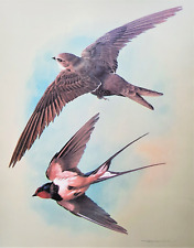 .swallow swift flight. for sale  NELSON