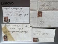 Queen victoria red for sale  THATCHAM