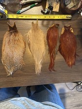 hackle for sale hackle for sale Brentwood