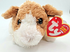 Twitch guinea pig for sale  Arlington