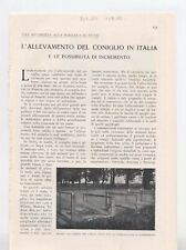 Allevamento del coniglio usato  Trento