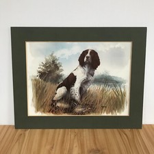 Springer spaniel art for sale  GUILDFORD