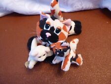 pound puppy for sale  SWINDON