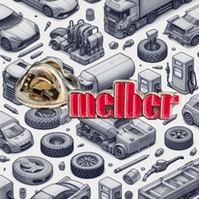 Sammler pin kfz gebraucht kaufen  Delmenhorst