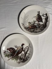 Johnson Brothers Jogo Pássaros Codorna Faisão 2 Pratos 11 Fabricado na Inglaterra Colecionável comprar usado Johnson Brothers Jogo Pássaros Codorna Faisão 2 Pratos 11 Fabricado na Inglaterra Colecionável comprar usado  Enviando para Brazil