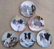 Royal worcester border for sale  BROMSGROVE