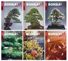 bonsai art gebraucht kaufen bonsai art gebraucht kaufen Karlsruhe