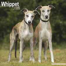 Calendrier 2025 whippet d'occasion Calendrier 2025 whippet d'occasion  Troyes