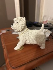 Leonardo westie terrier for sale  SWINDON