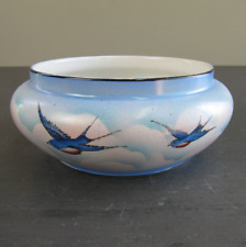 Vintage palissy blue for sale  SKIPTON