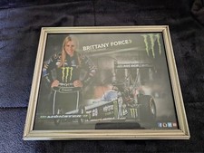 Brittany force monster for sale  Louisville