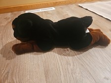 Kids preferred rottweiler for sale  Madison