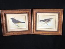 Two vintage bird for sale  Chicago